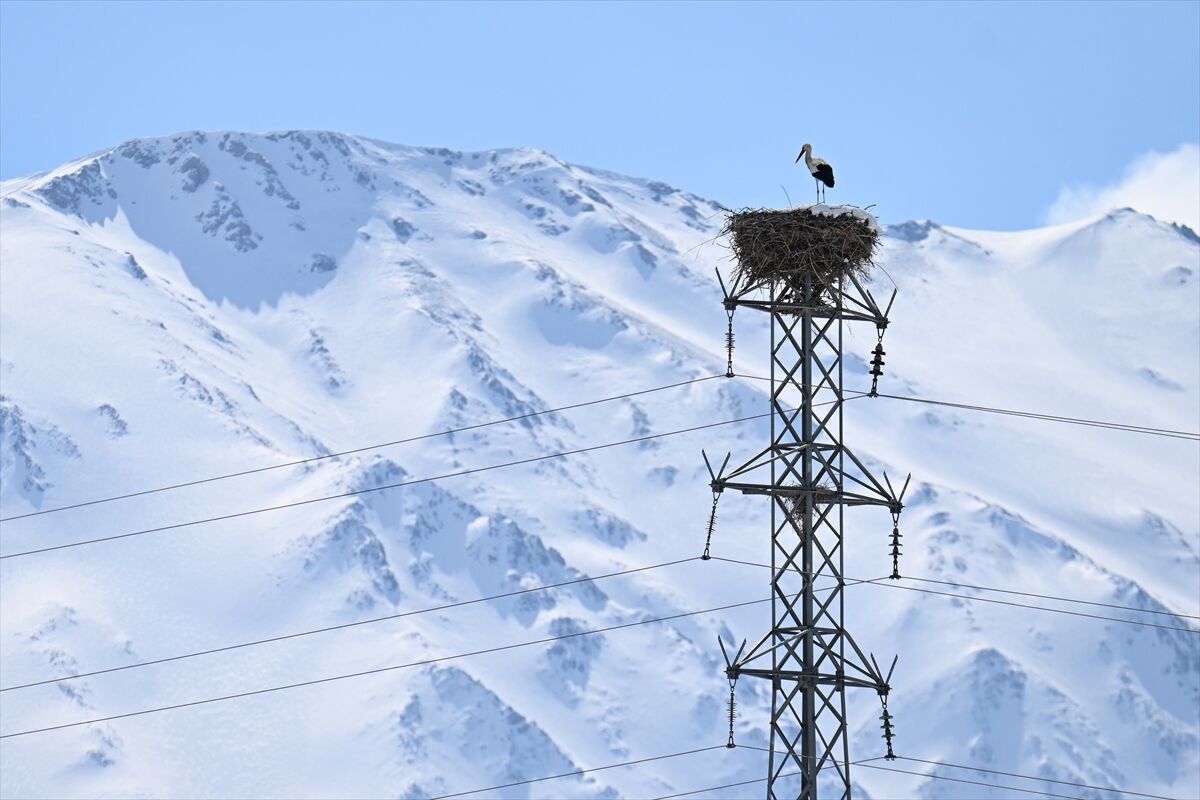 A A 20260310 40779631 40779617 B A H A R I N M U J D E C I S I L E Y L E G E K A R S U R P R I Z I