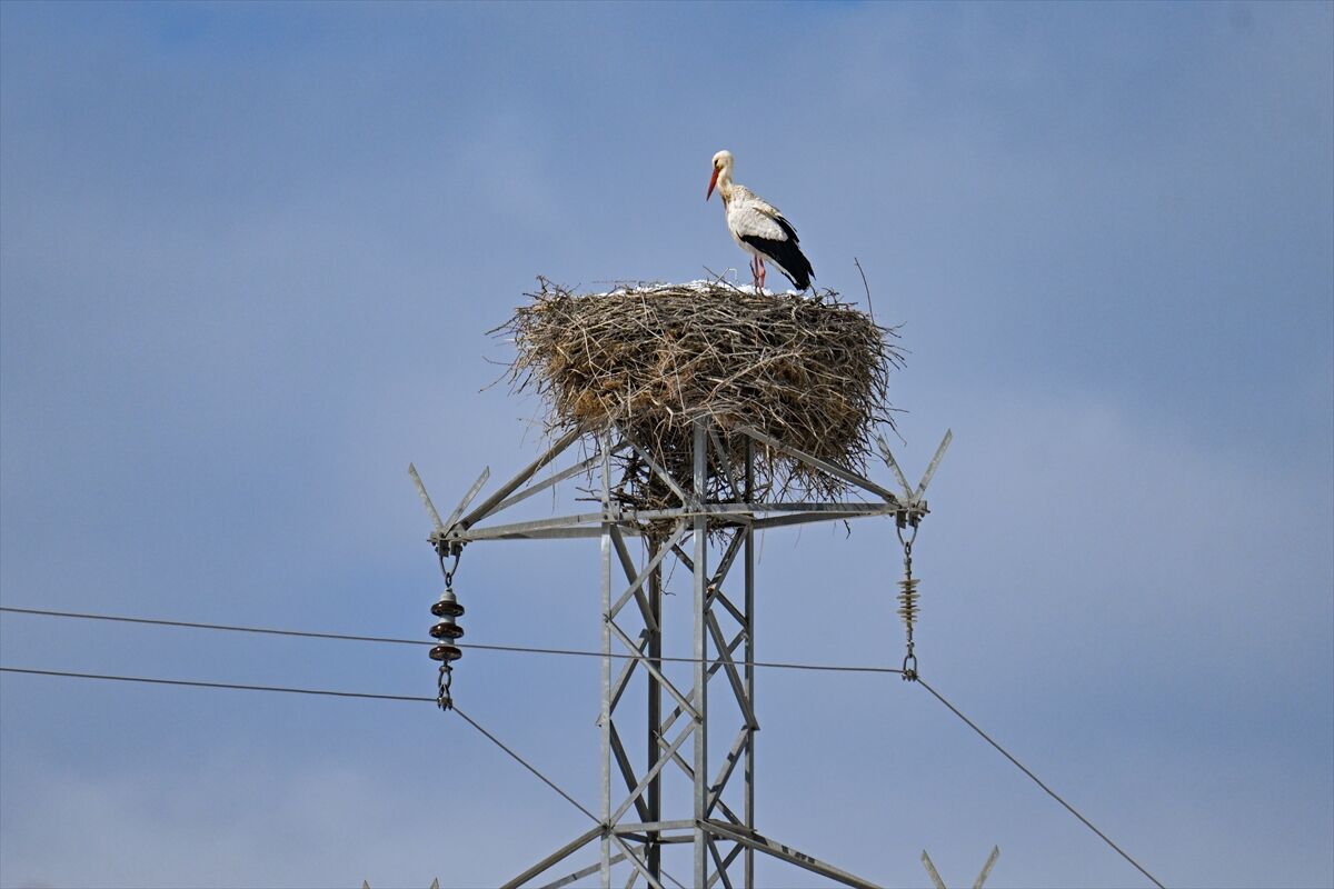 A A 20260310 40779631 40779618 B A H A R I N M U J D E C I S I L E Y L E G E K A R S U R P R I Z I