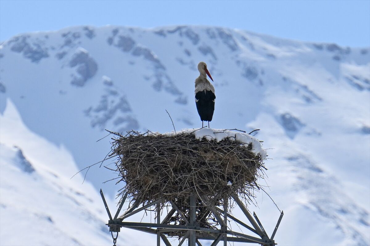 A A 20260310 40779631 40779619 B A H A R I N M U J D E C I S I L E Y L E G E K A R S U R P R I Z I