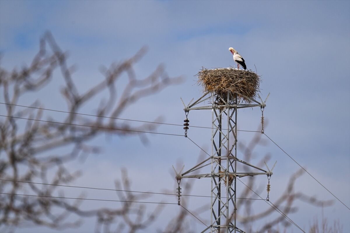 A A 20260310 40779631 40779620 B A H A R I N M U J D E C I S I L E Y L E G E K A R S U R P R I Z I