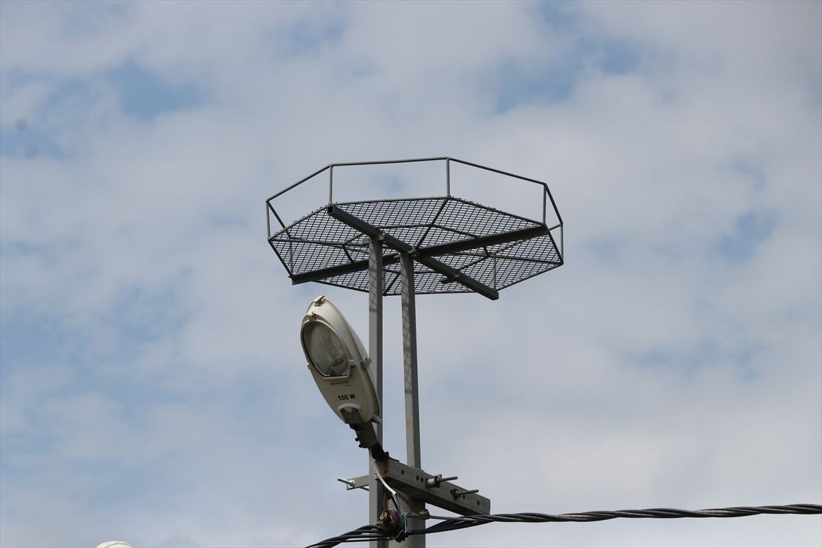 A A 20260327 40940321 40940315 T R A K Y A D A L E Y L E K L E R I C I N E L E K T R I K D I R E K L E R I N E 1000 P L A T F O R M K U R U L D U