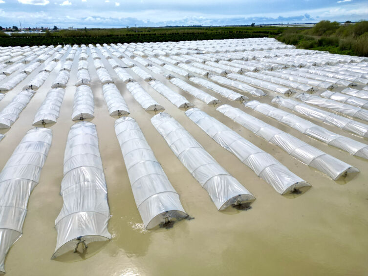 Aa Picture 20260323 40903341