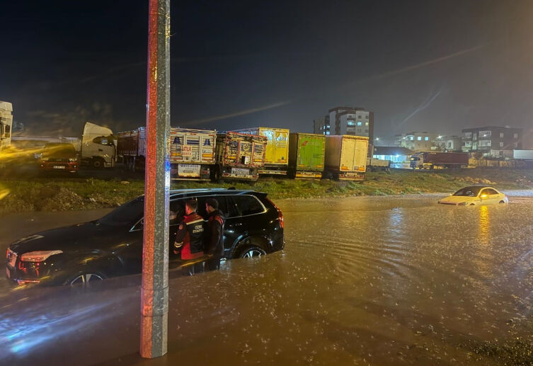 Aa Picture 20260329 40961868