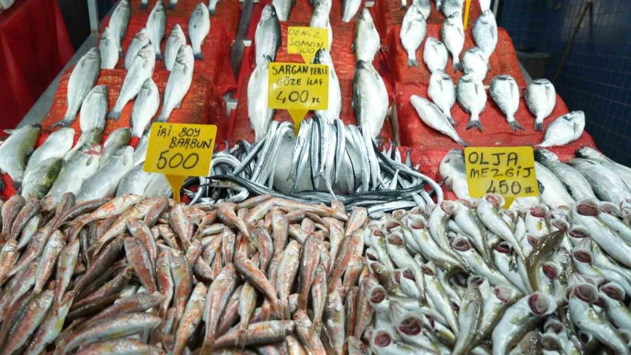 Samsunda Balik Fiyatlarinda Son Durum