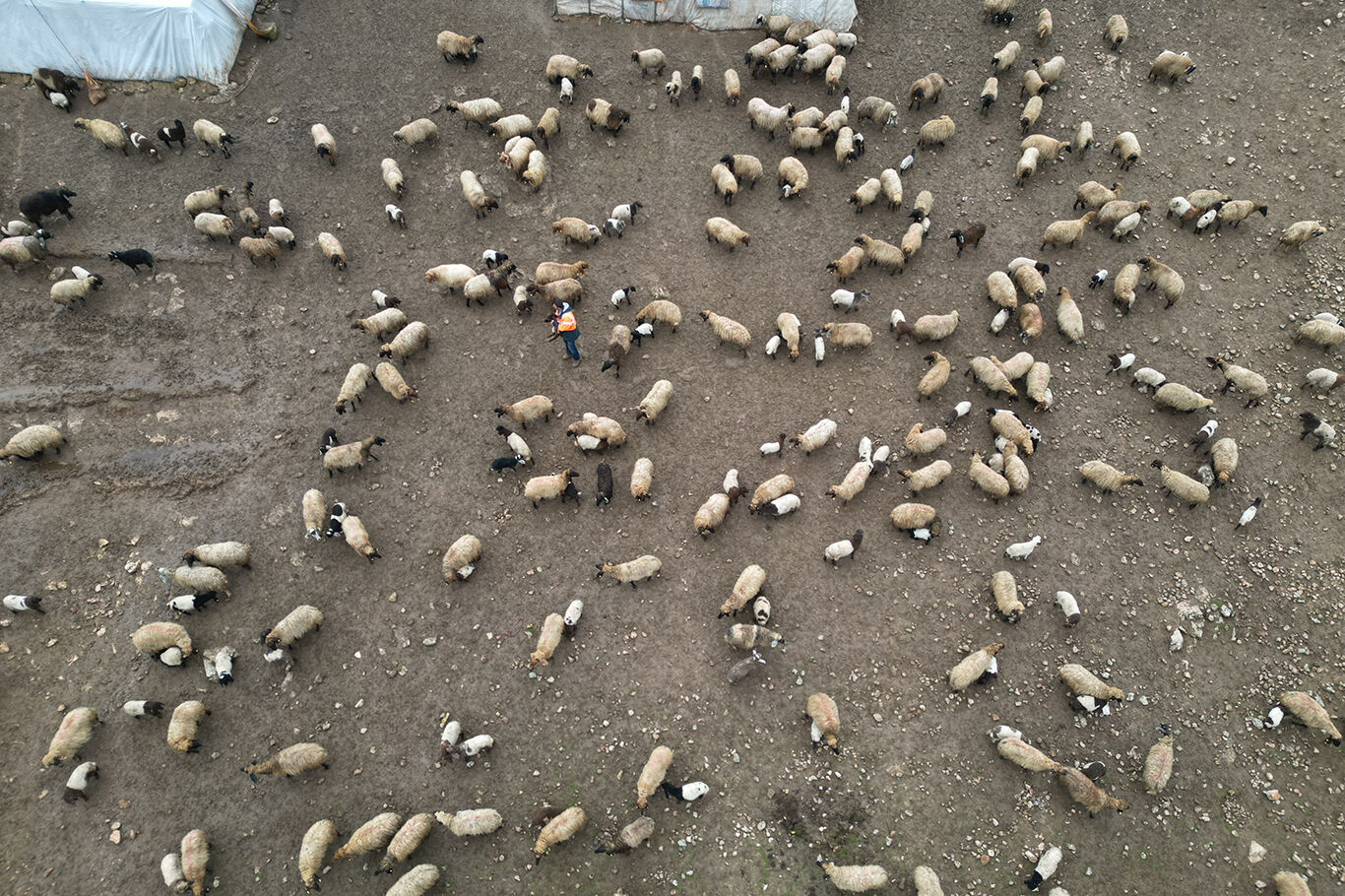 2C837Dfc 877B 48A3 Ab04 Fa5Cc9Ed62A0