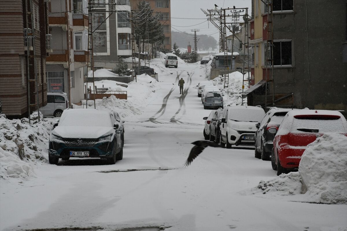 60F59E4711B2E2B797700794Cb098A9E