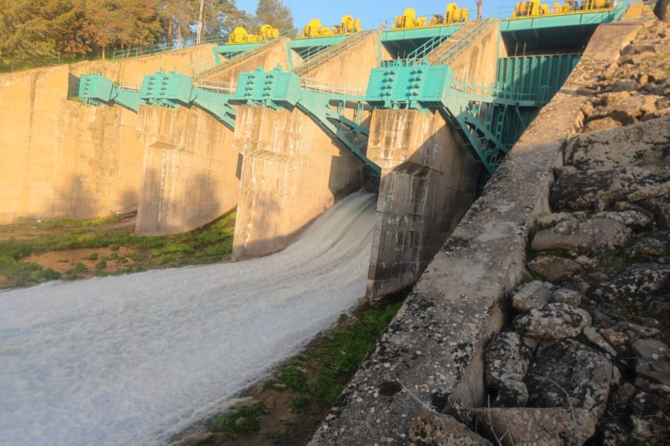 778Ed066 00A3 4D9D A359 B06Ffd37918B