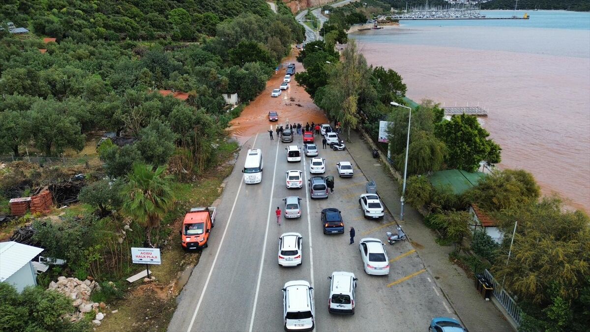 A A 20260404 41011029 41011024 K A S T A S A G A N A K H A Y A T I O L U M S U Z E T K I L E D I