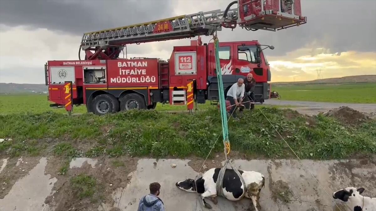 A A 20260406 41028889 41028888 B A T M A N D A S U L A M A K A N A L I N D A M A H S U R K A L A N 2 I N E K K U R T A R I L D I