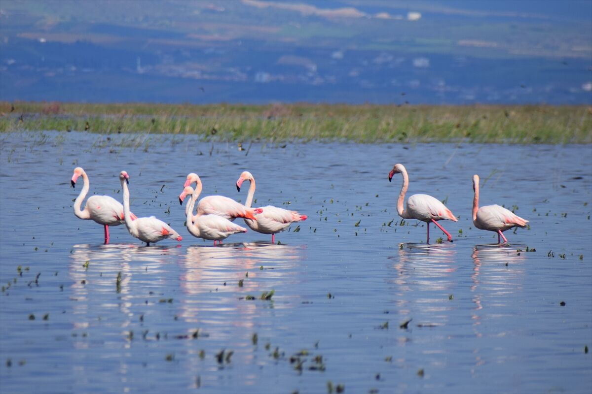 A A 20260413 41092169 41092156 M A R M A R A G O L U Y I L L A R S O N R A Y E N I D E N G O C M E N K U S L A R I A G I R L I Y O R