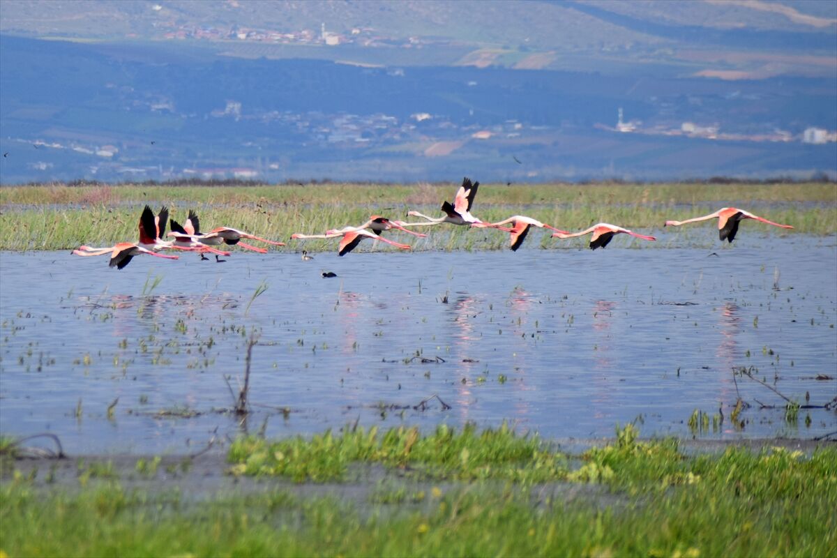 A A 20260413 41092169 41092163 M A R M A R A G O L U Y I L L A R S O N R A Y E N I D E N G O C M E N K U S L A R I A G I R L I Y O R