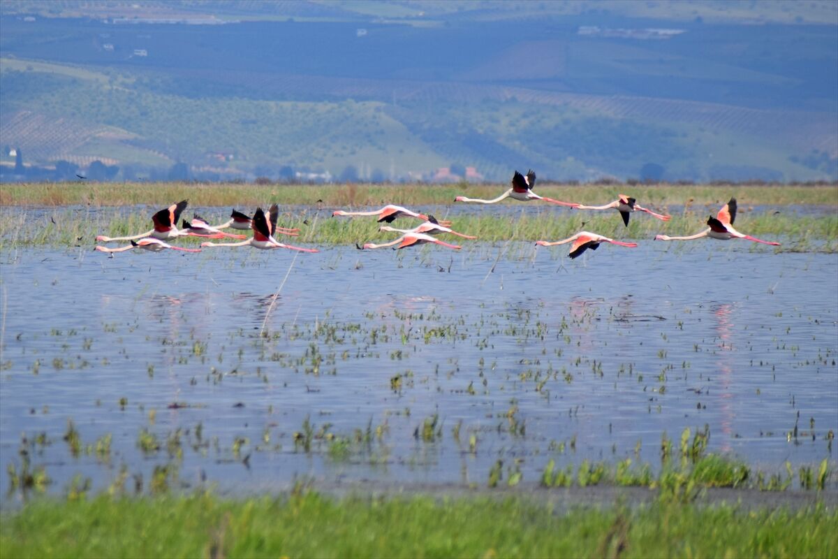 A A 20260413 41092169 41092164 M A R M A R A G O L U Y I L L A R S O N R A Y E N I D E N G O C M E N K U S L A R I A G I R L I Y O R