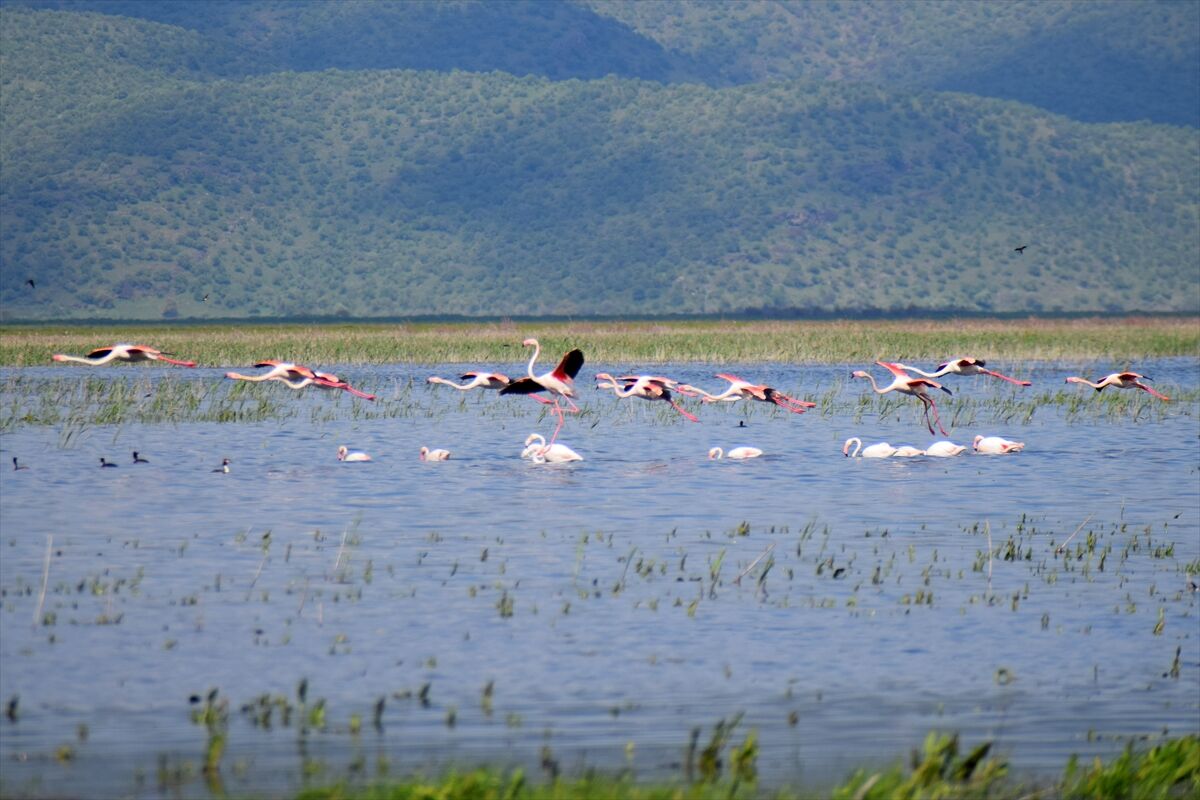 A A 20260413 41092169 41092165 M A R M A R A G O L U Y I L L A R S O N R A Y E N I D E N G O C M E N K U S L A R I A G I R L I Y O R