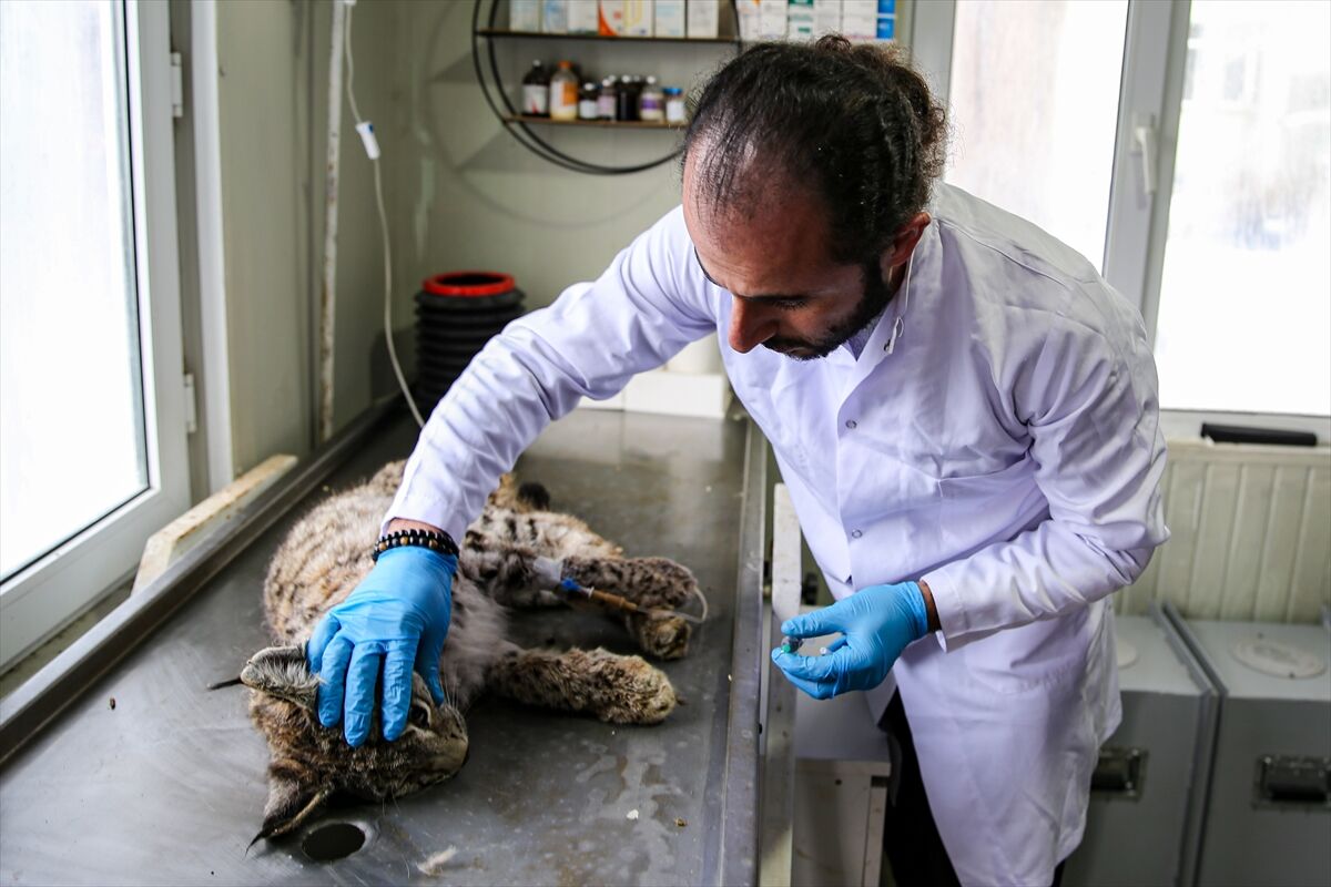 A A 20260413 41097549 41097538 E R Z U R U M D A J A N D A R M A N I N D E V R I Y E S I R A S I N D A B I T K I N H A L D E B U L D U G U V A S A K T E D A V I Y E A L I N D I