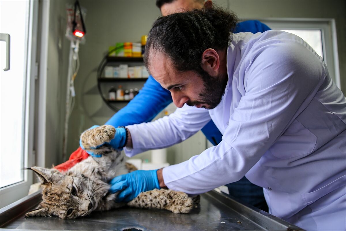 A A 20260413 41097549 41097545 E R Z U R U M D A J A N D A R M A N I N D E V R I Y E S I R A S I N D A B I T K I N H A L D E B U L D U G U V A S A K T E D A V I Y E A L I N D I