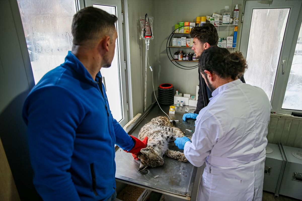 A A 20260413 41097549 41097547 E R Z U R U M D A J A N D A R M A N I N D E V R I Y E S I R A S I N D A B I T K I N H A L D E B U L D U G U V A S A K T E D A V I Y E A L I N D I