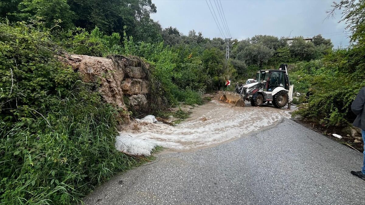 A A 20260418 41147102 41147095 M E R S I N D E S A G A N A K N E D E N I Y L E M A H A L L E Y O L U N D A C O K M E Y A S A N D I