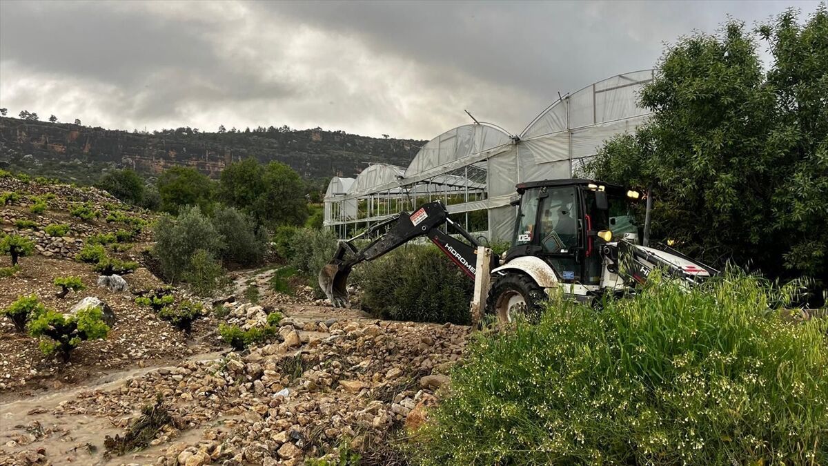 A A 20260418 41147102 41147100 M E R S I N D E S A G A N A K N E D E N I Y L E M A H A L L E Y O L U N D A C O K M E Y A S A N D I