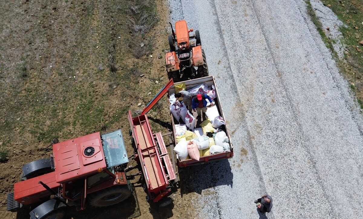 A A 20260420 41158581 41158566 A R T A N Y A G I S L A R N O H U T T A R E K O L T E B E K L E N T I S I N I A R T I R D I