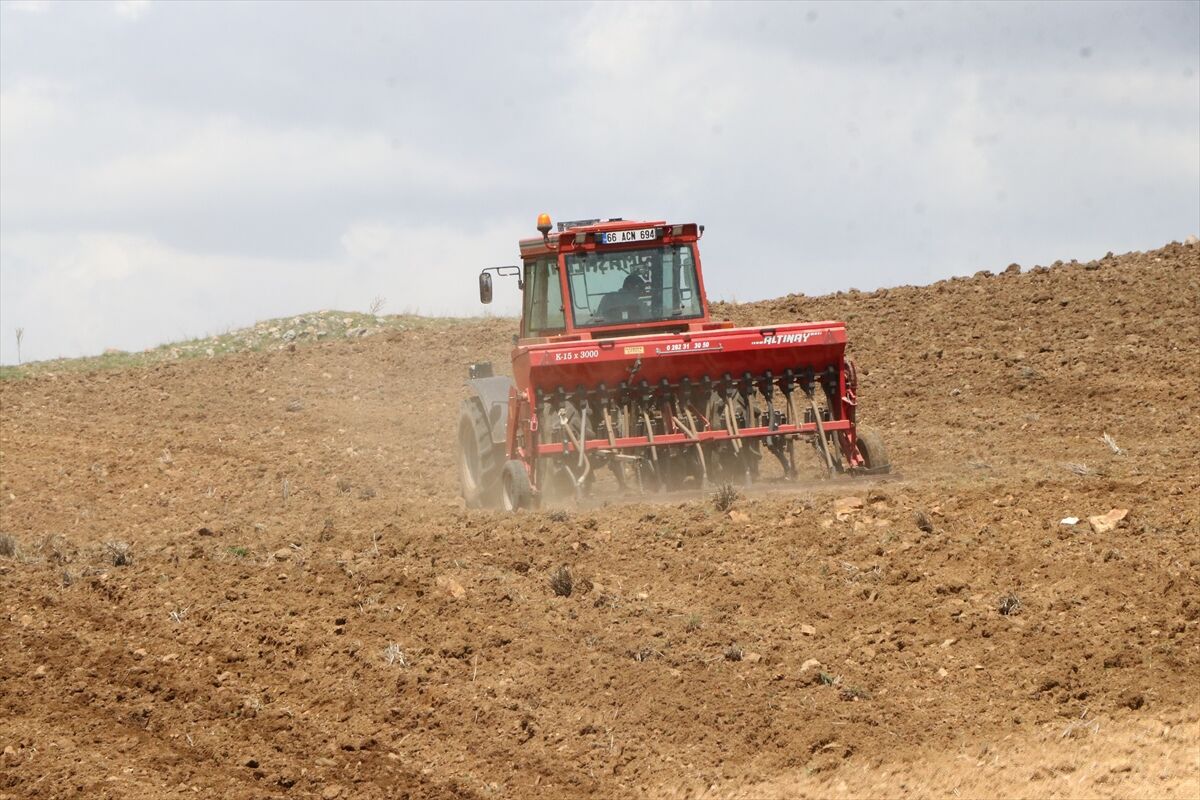 A A 20260420 41158581 41158574 A R T A N Y A G I S L A R N O H U T T A R E K O L T E B E K L E N T I S I N I A R T I R D I