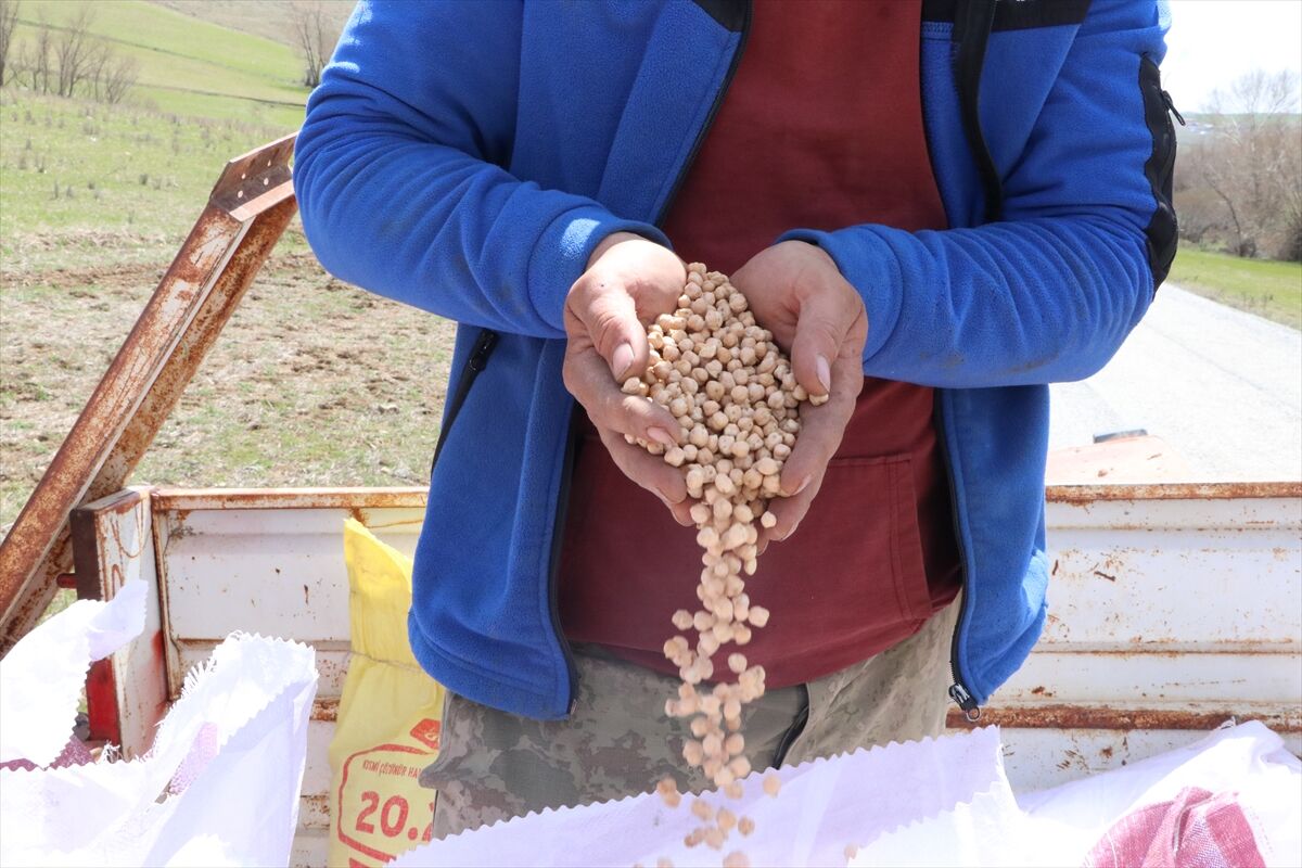 A A 20260420 41158581 41158578 A R T A N Y A G I S L A R N O H U T T A R E K O L T E B E K L E N T I S I N I A R T I R D I