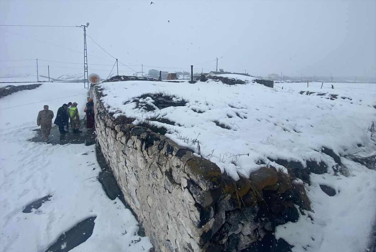 A A 20260424 41202607 41202602 A R D A H A N D A K A R V E Y A G M U R U N A G I R L I G I N A D A Y A N A M A Y A N E V D E G O C U K O L U S T U