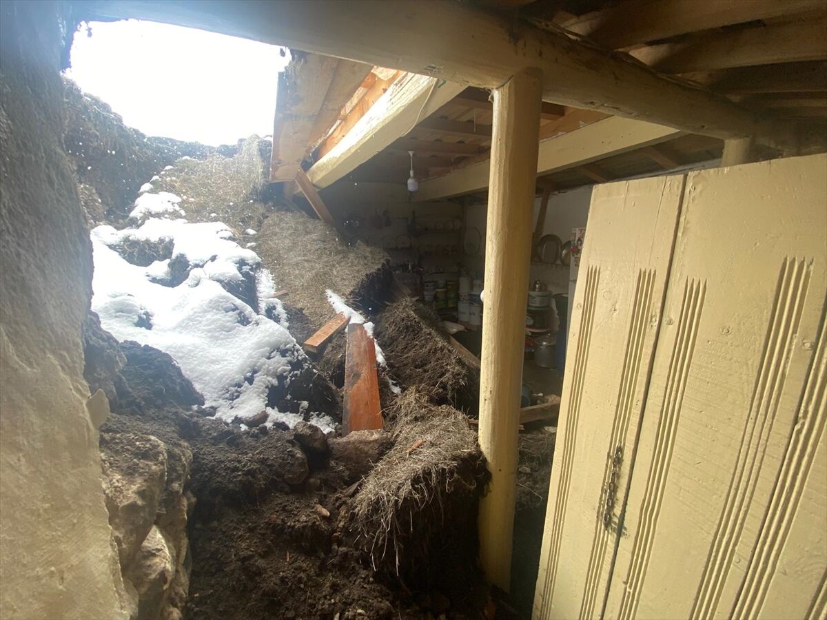 A A 20260424 41202607 41202606 A R D A H A N D A K A R V E Y A G M U R U N A G I R L I G I N A D A Y A N A M A Y A N E V D E G O C U K O L U S T U