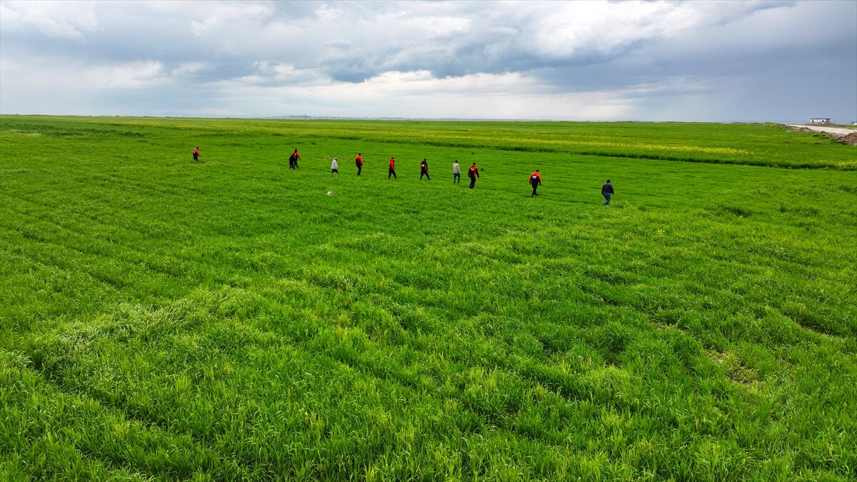 A A 20260428 41233485 41233484 D I Y A R B A K I R D A K A Y B O L A N 3 Y A S I N D A K I C O C U K A R A N I Y O R