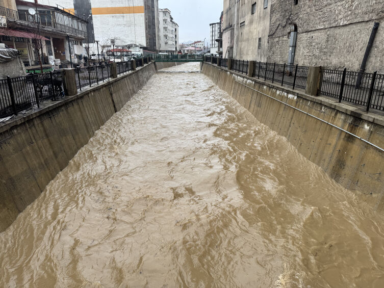 Aa Picture 20260420 41159791-1