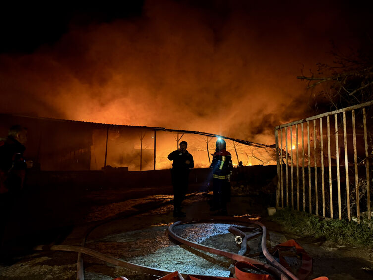 Aa Picture 20260421 41172540