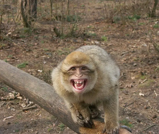 Ekran Görüntüsü 2026 04 24 114144