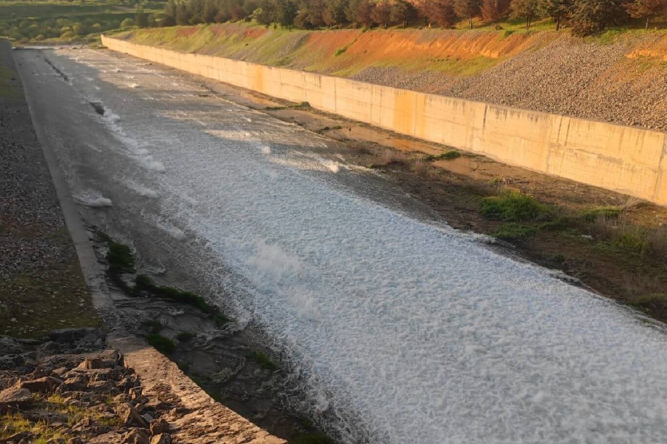 Fbff3E66 89A4 4928 B057 77D814D462E9