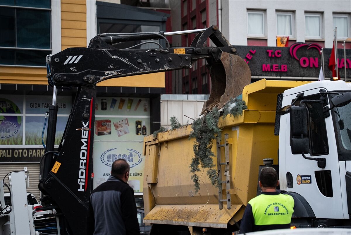 Şiddetli rüzgarda devrilen ağaçlar nedeniyle araçlar hasar gördü