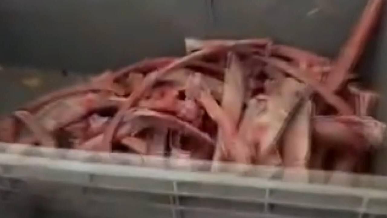 Sağlığı tehdit eden 40 ton et ele geçirildi