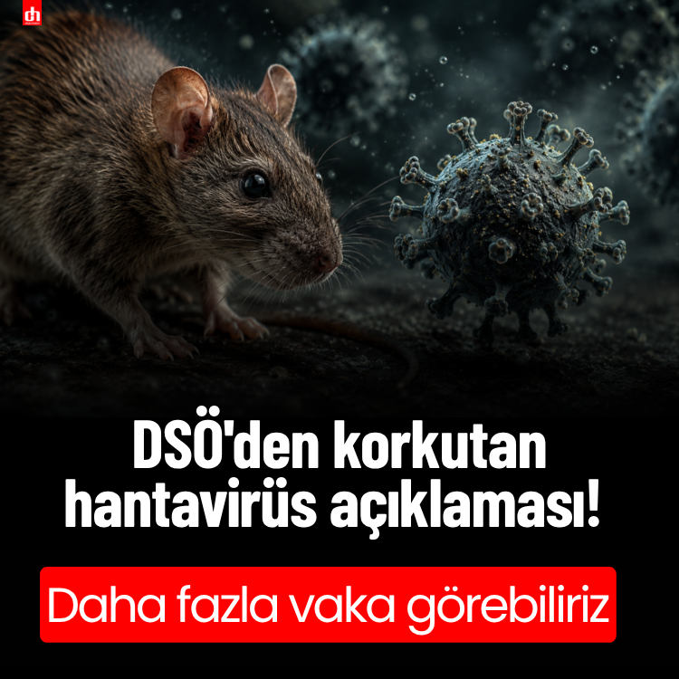 DSÖ'den korkutan hantavirüs açıklaması! Daha fazla vaka görebiliriz