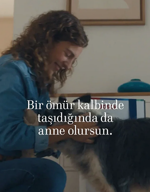 Ekran Görüntüsü 2026 05 06 175259