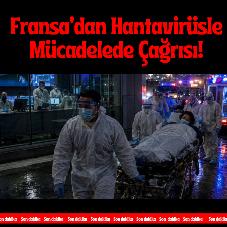 Fransa'dan Hantavirüsle mücadelede çağrısı!