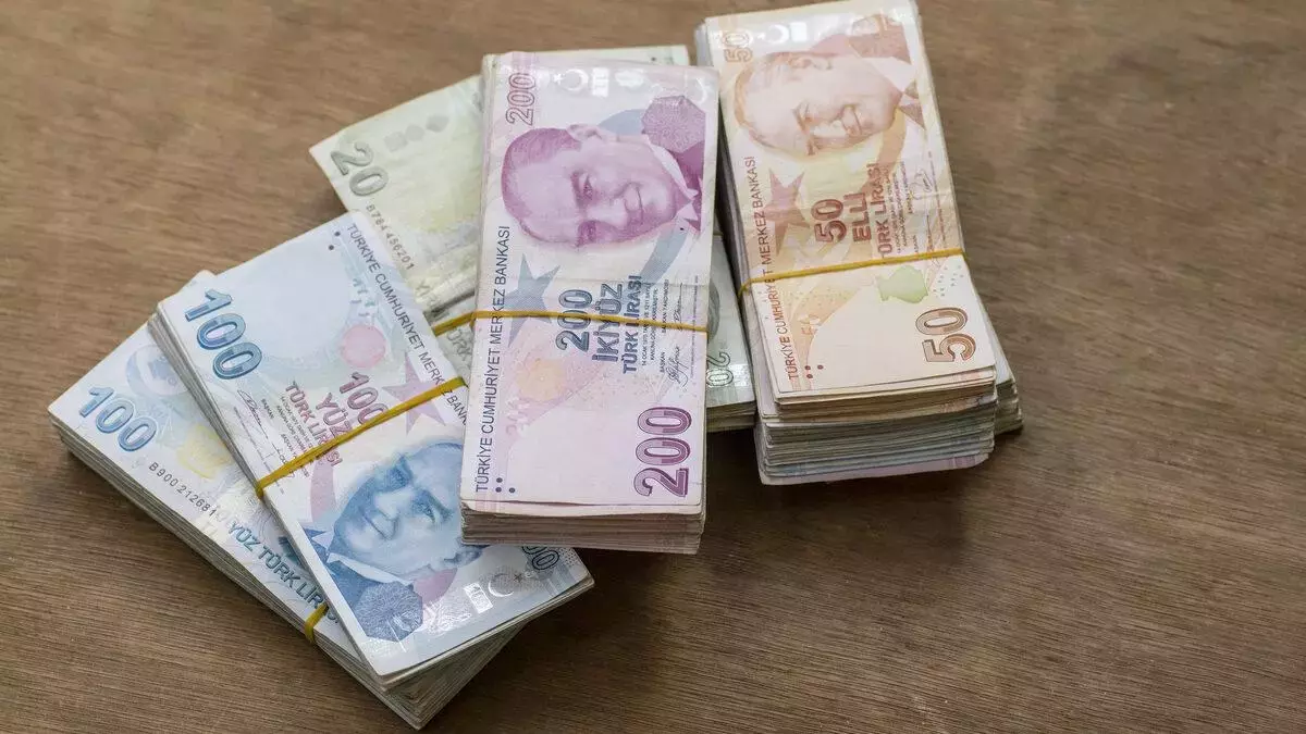 Yurt dışındaki kazancını Türkiye’ye getirene 20 yıl vergi istisnası