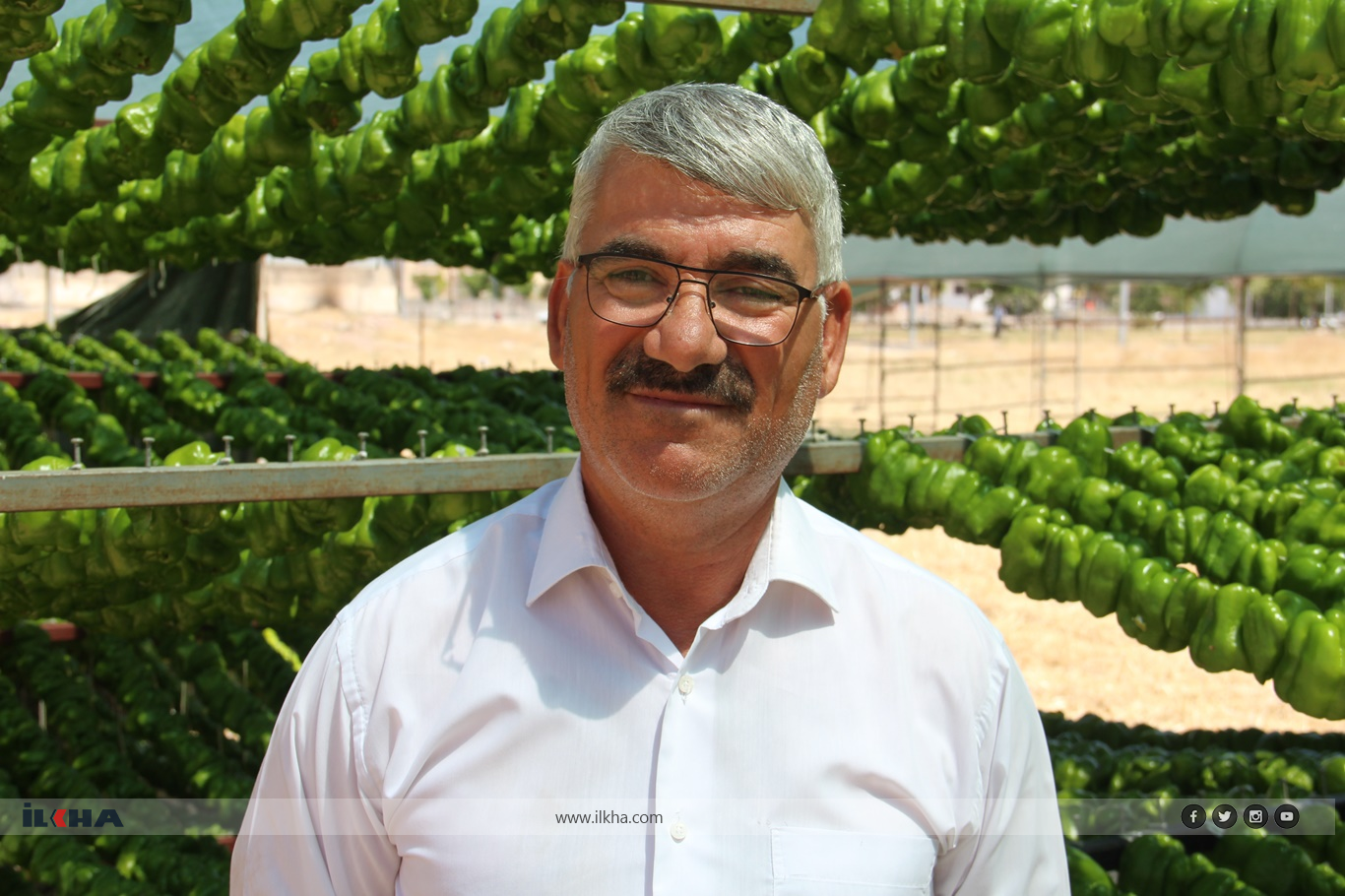 Tahir Fidan
